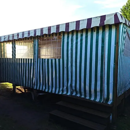 Mobilhome 433 La Palmyre Holiday park